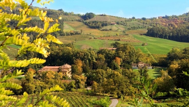 L'Oltrepò Pavese da scoprire in bici: nel cestino Pinot Nero e salumi del Tizzo