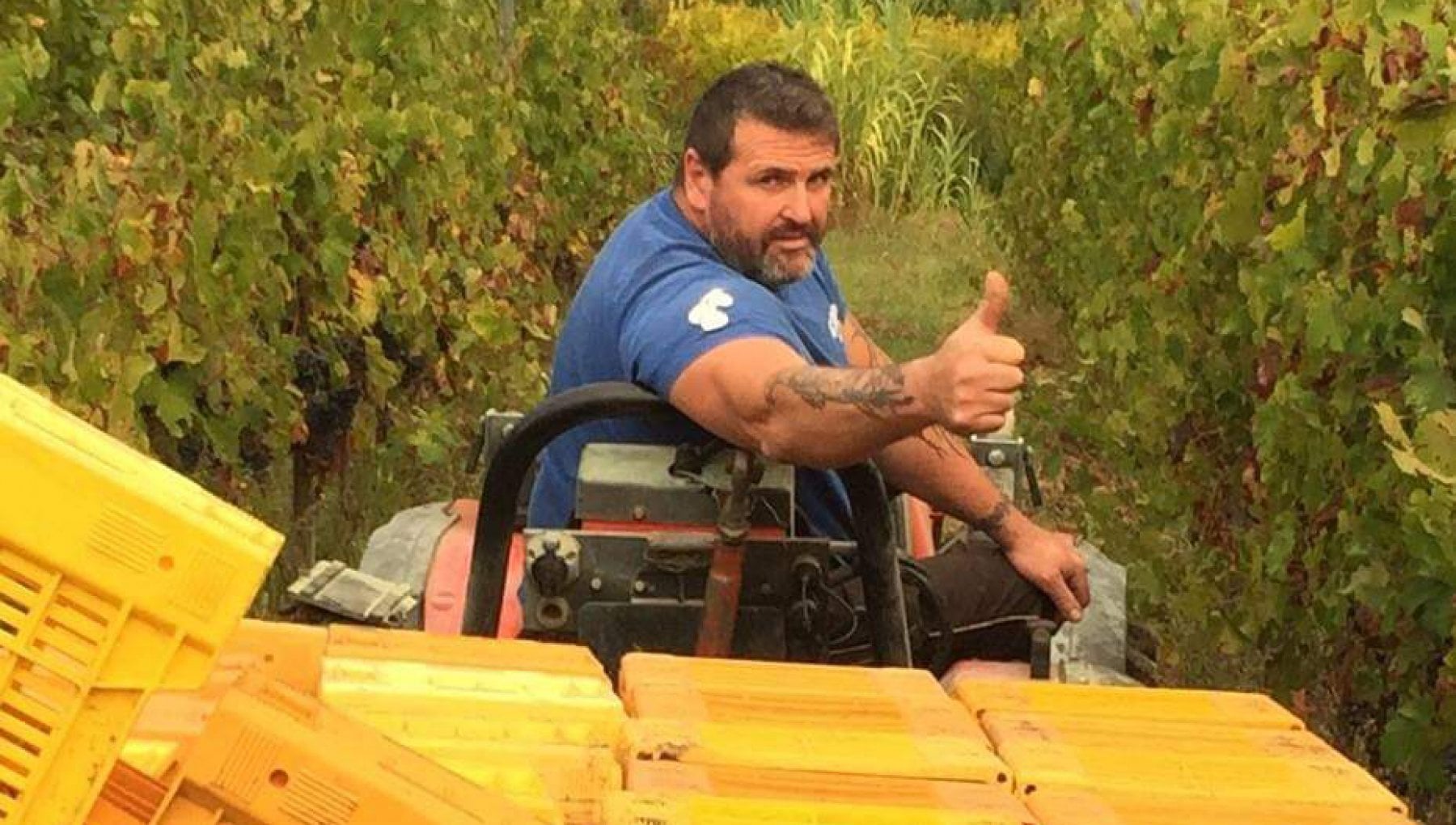 L'ex body builder campione di Vermentino dei Colli Apuani - Vimarsana News