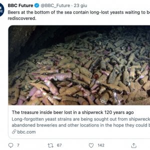 Vini, Champagne e birre, quando il fondo del mare fa da cantina