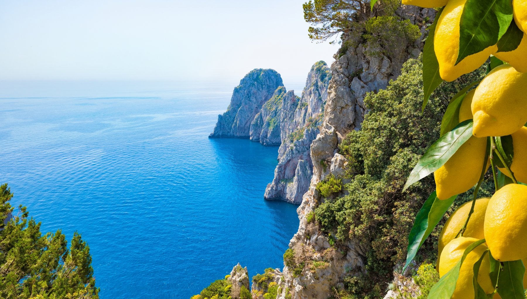 La Capri della memoria salvata dagli artigiani eroici - Vimarsana News