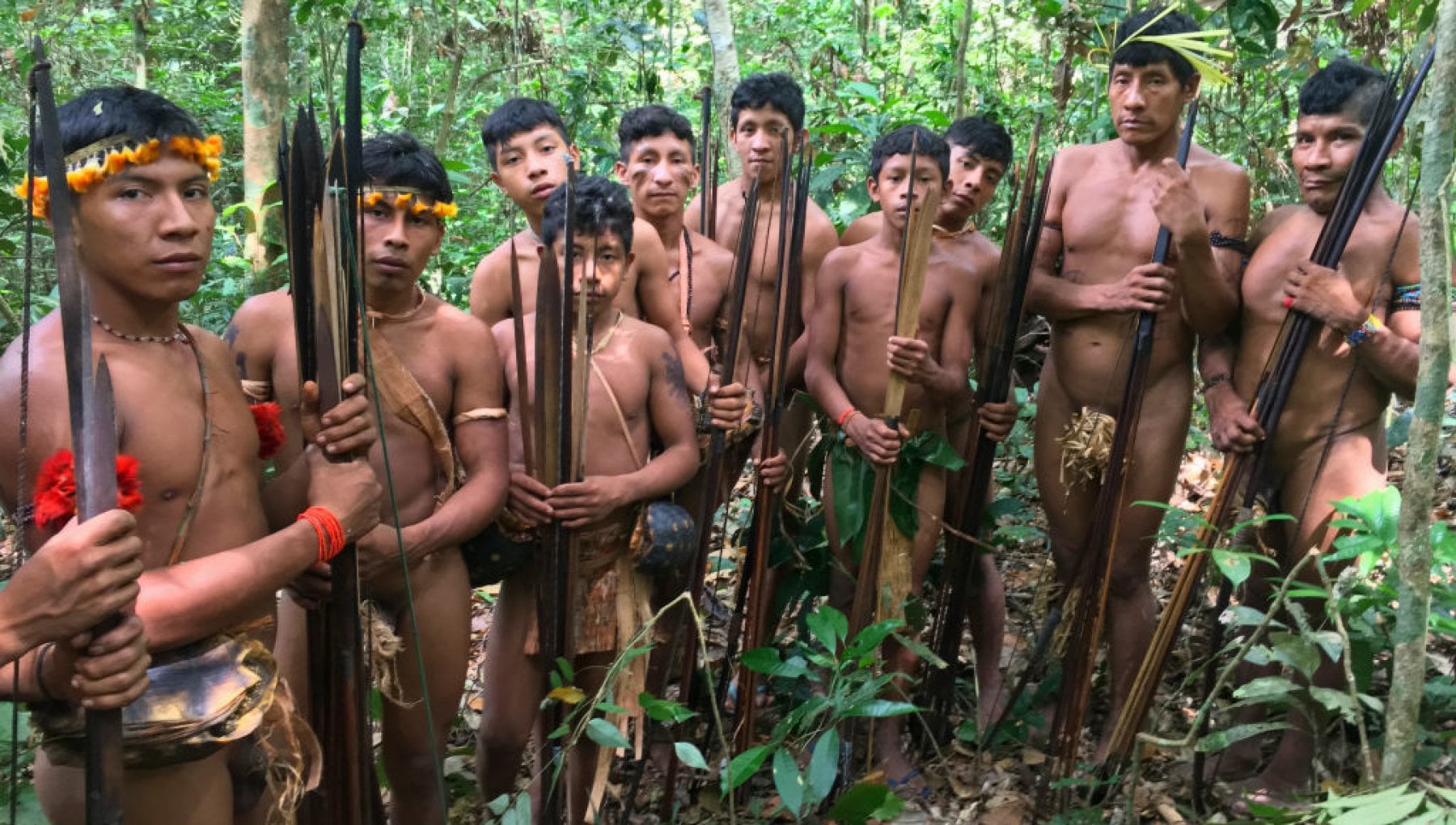 Solo i popoli indigeni tengono alle foreste - Vimarsana News