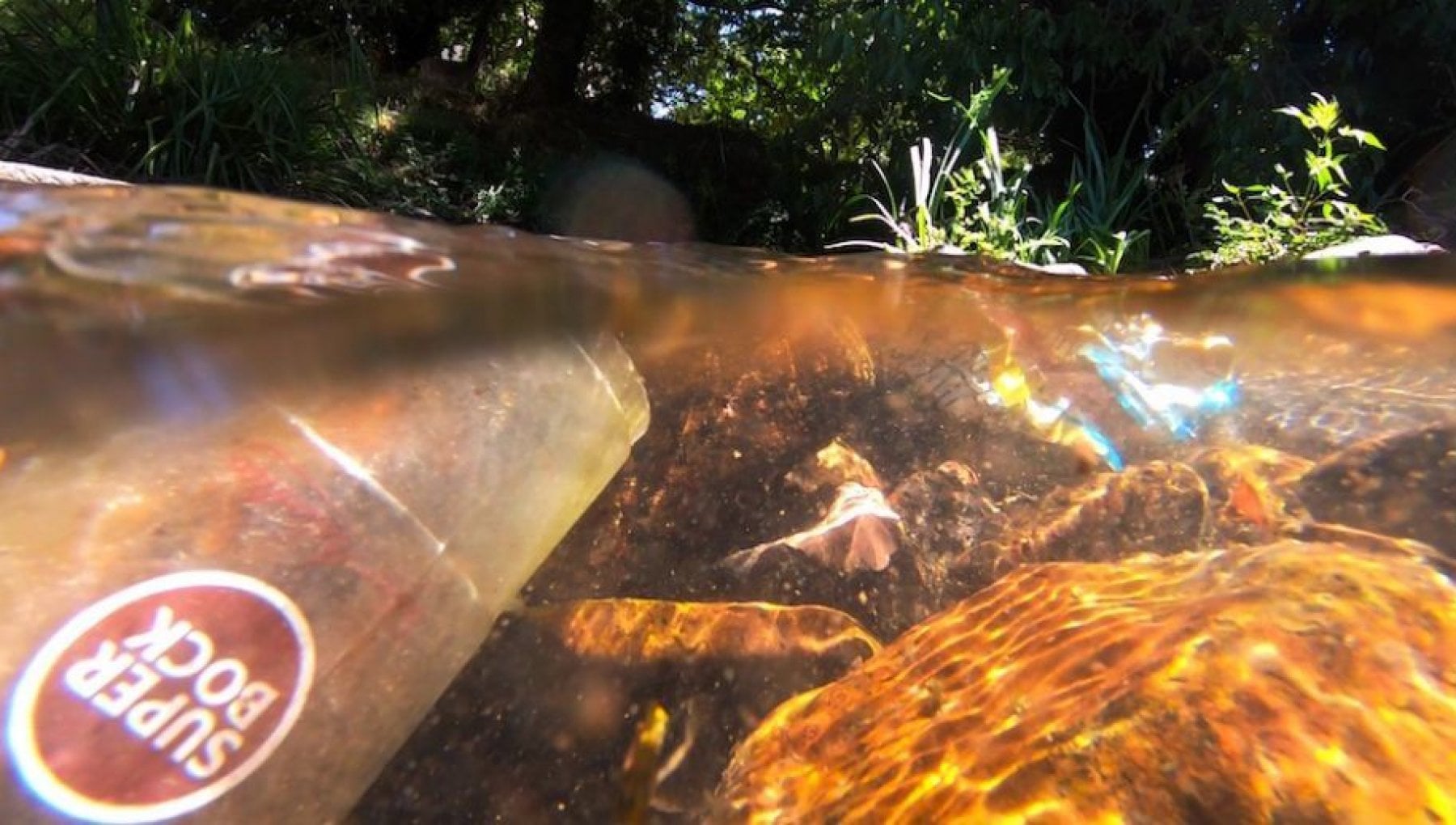 Il viaggio dell'orrore della plastica dai fiumi verso il mare - Vimarsana News