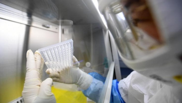 Covid: mutazioni, effetti, velocità di propagazione. Ecco la nuova fotografia del virus