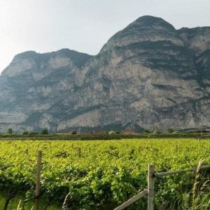 In Alto Adige la valle felice che custodisce i suoi tesori nei masi