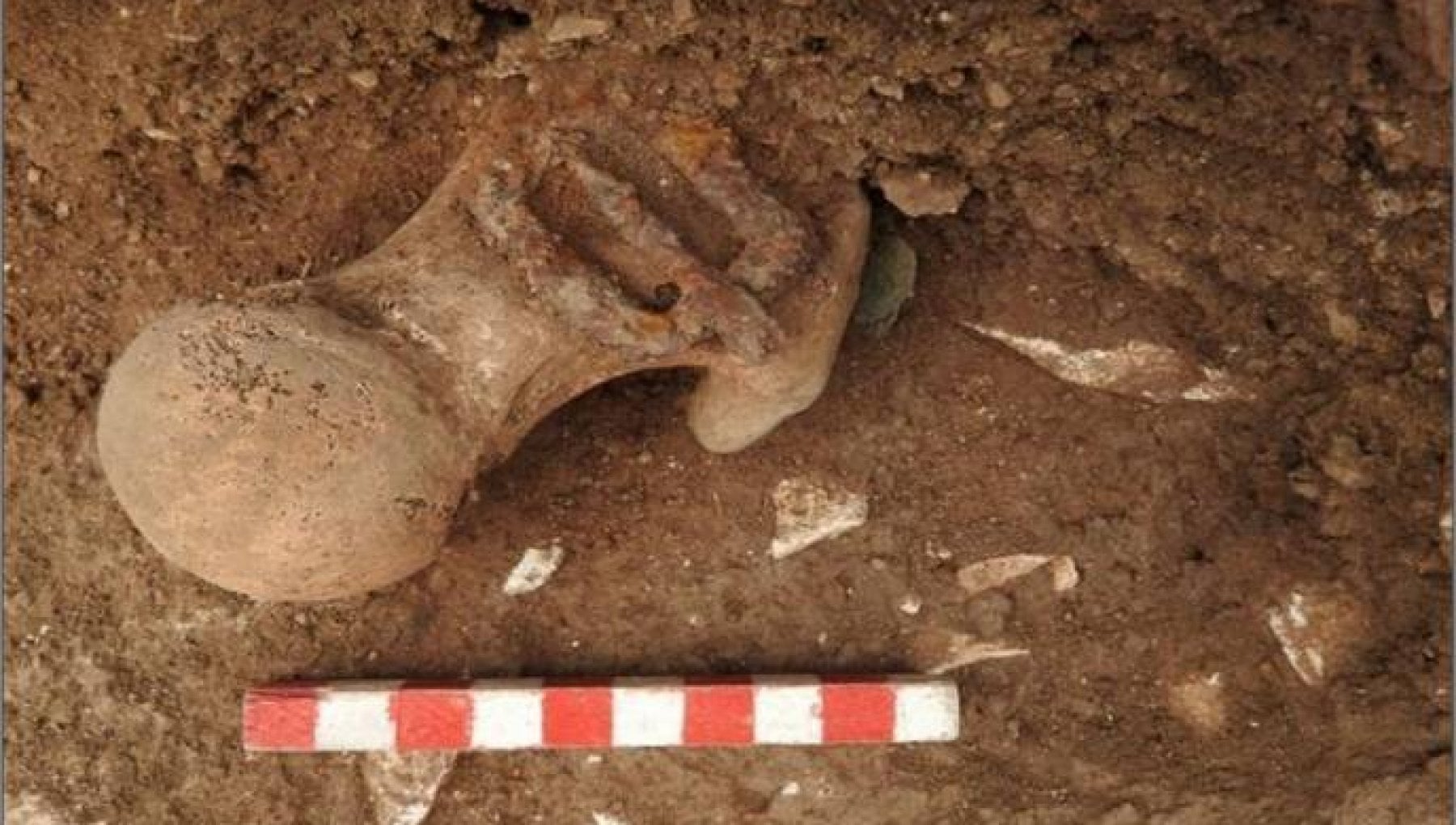 La Morte Nera del XIV secolo raggiunse il Sud: in due tombe pugliesi trovato il Dna del batterio - Vimarsana News