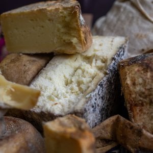 Cheese, la fiera del formaggio etico che valorizza gli animali