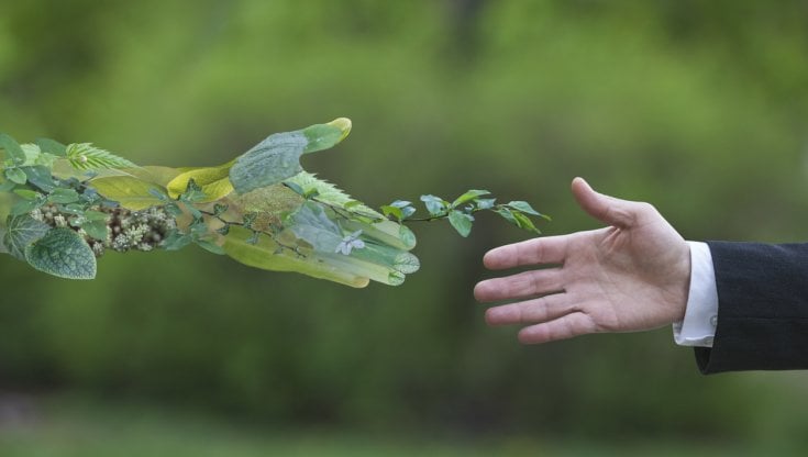 Servono leggi perché l'innovazione rispetti l'ambiente