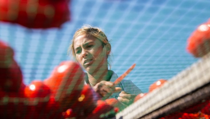 Coop 1998-2021: 23 anni in prima linea contro l'illegalità agricola