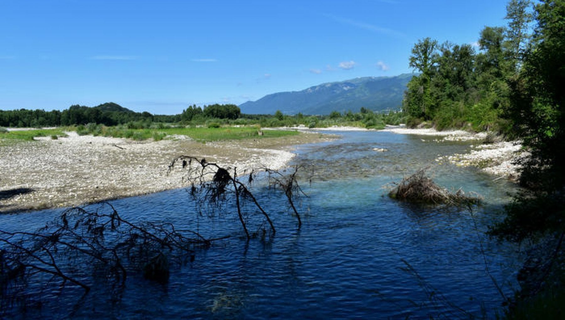 La battaglia del Piave (per la gestione del fiume). "Uno scempio da 50 milioni di euro" - Vimarsana News