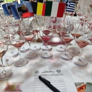 Basta "flirt estivi", la Germania sedotta dai vini rosa tutto l'anno 
