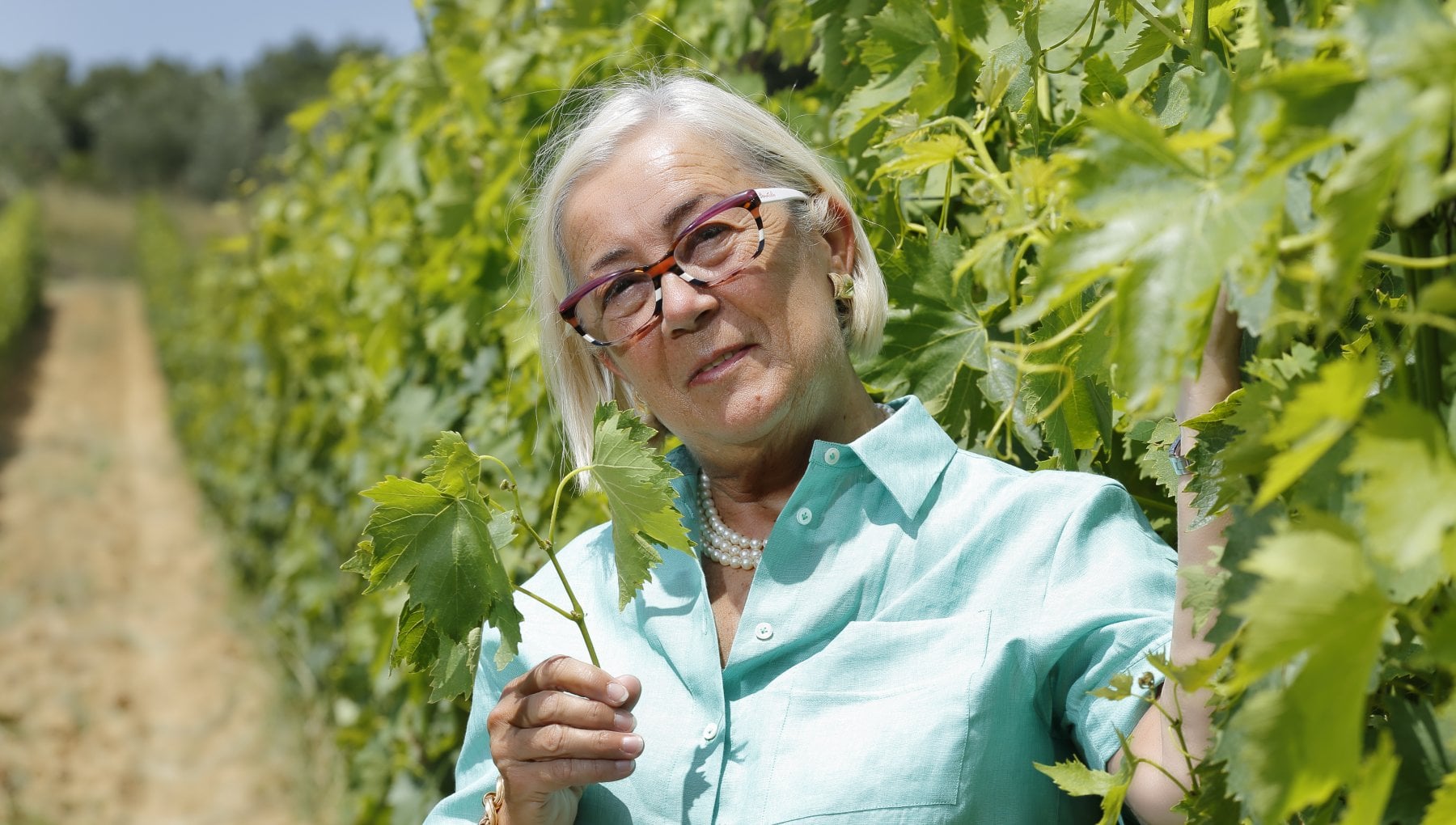 Donatella Cinelli Colombini: la mia Val d'Orcia, grazie al vino Cenerentola, ha ritrovato la scarpetta - Vimarsana News