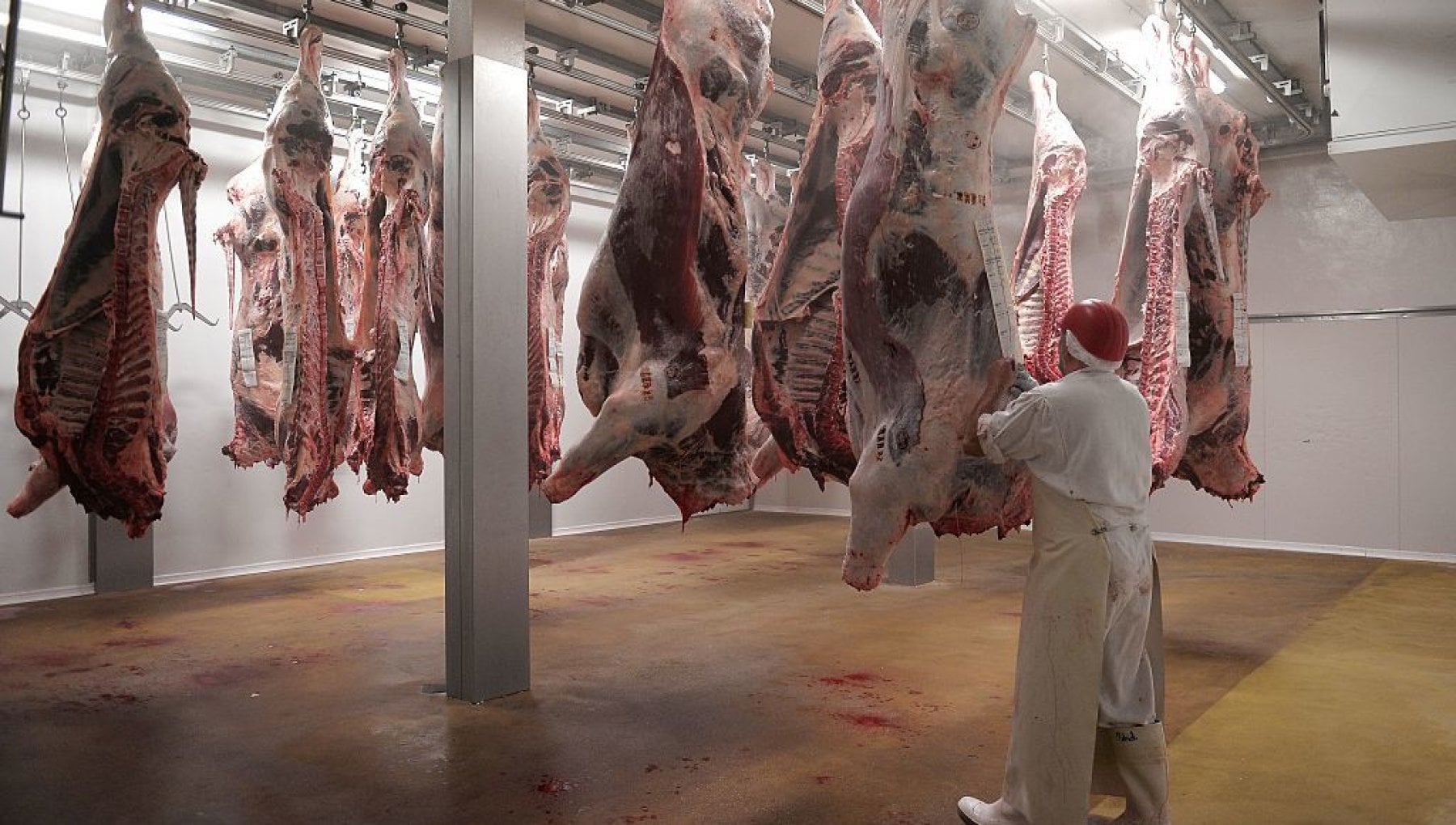 Happy Abattoir Families