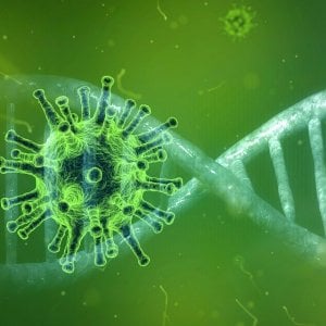 Farmaci Covid: I monoclonali contro le varianti