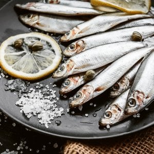 Oltre il tempo, in Cilento la Storia va a pesca (di alici)