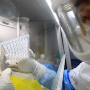 Pandemie, nella vita ci sono 38 possibilità su 100 di incontrarne una