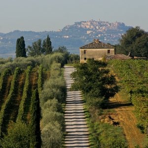 Montepulciano: l'arte di fare i pici sposa il vino Nobile e guarda all'Unesco