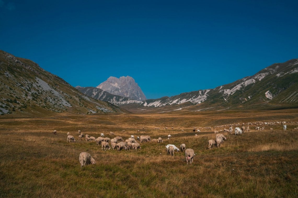 Campo Imperatore (@Sara Furlanetto)