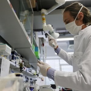 Covid, un antivirale ai primi segni della malattia. Al via i test di Pfizer