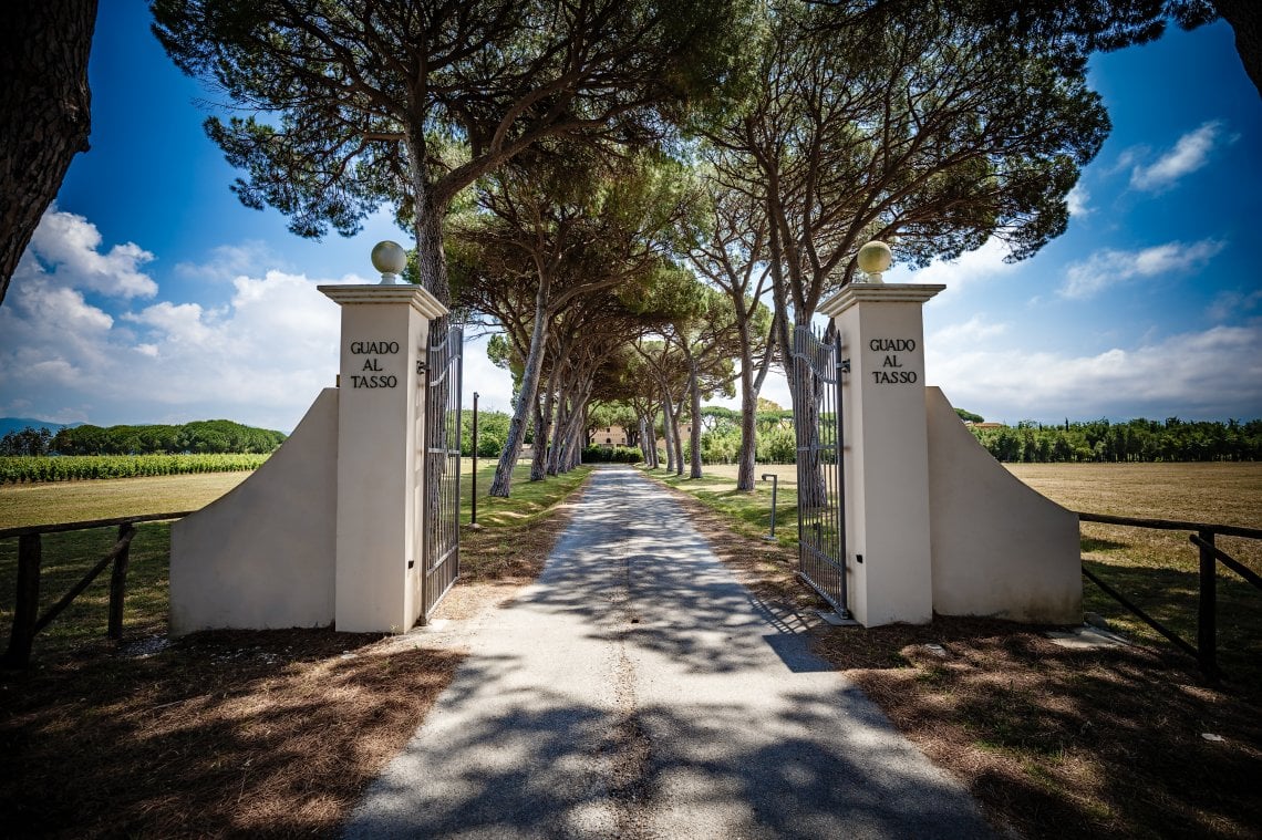 Guado al Tasso, la tenuta dei Marchesi Antinori a Bolgheri