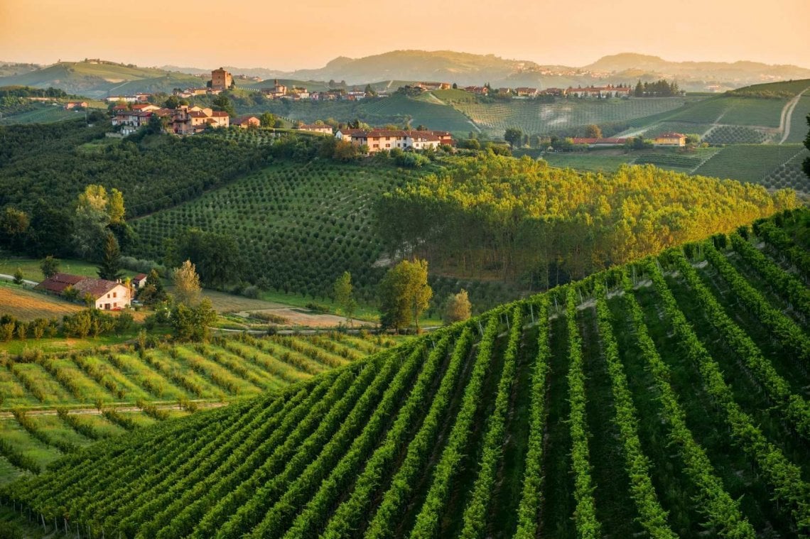 Le colline ricoperte di vigne delle Langhe (@Bruno Murialdo)