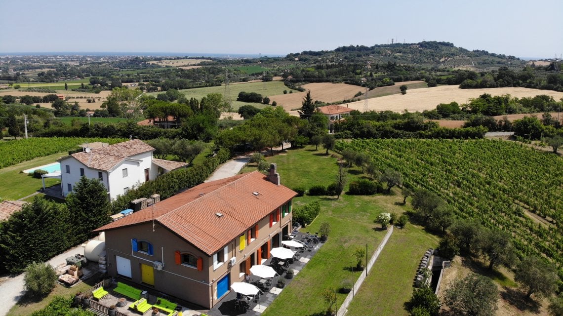 Dai colli di Rimini al Vinitaly, Vini San Valentino a Verona | Altarimini.it