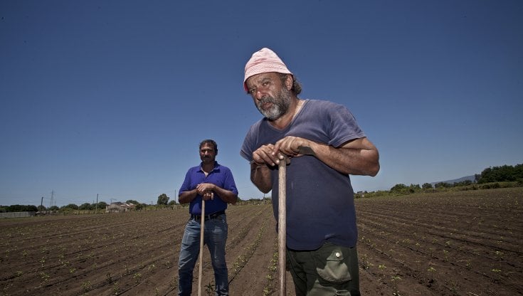 (Foto\\Coop - La buona terra)