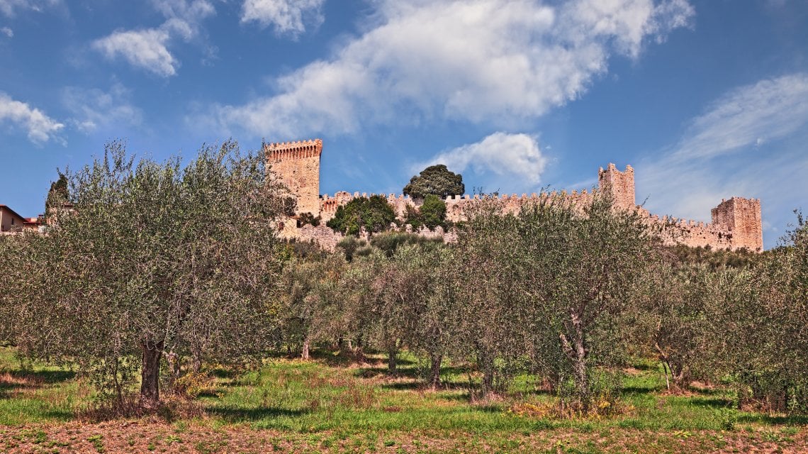 Ulivi attorno alla citt&agrave; di Narni&nbsp;