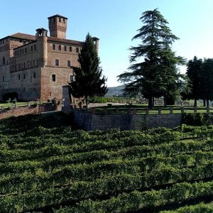 Il Barolo di Cavour all'asta per fare del bene 