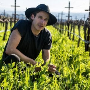 Carlo Mondavi:  "Mio nonno Robert mi ha insegnato a proteggere la terra: ecco come"