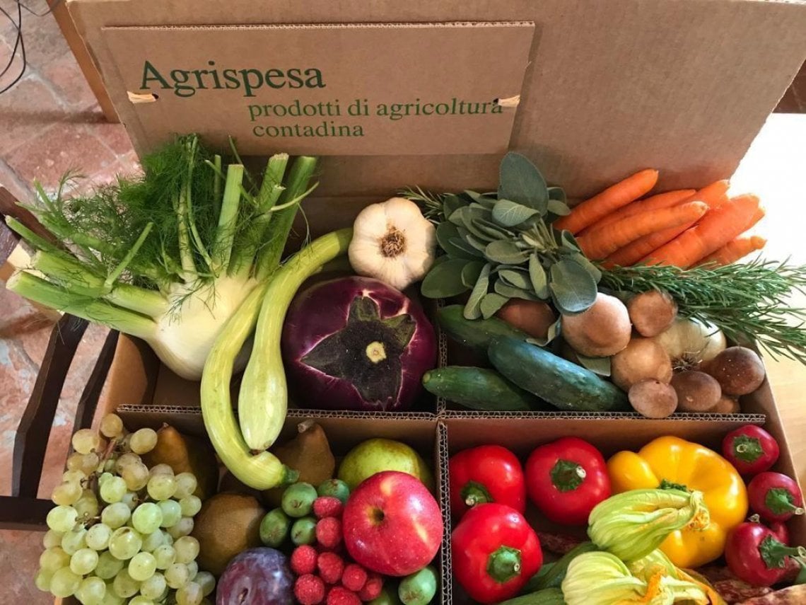 Frutta e verdura di Agrispesa