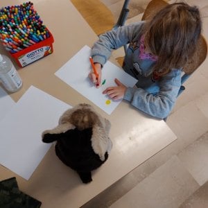Il Covid dei più piccoli, l'appello: "Asili aperti e bimbi in casa. Queste regole non funzionano"