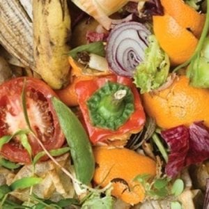 Giornata contro lo spreco alimentare: cosa fanno gli chef per combatterlo?
