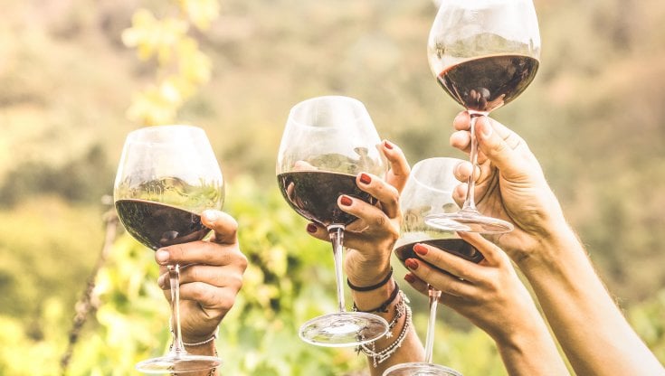 Barolo e Trebbiano sui banchi, le proposte di legge per far studiare il vino a scuola