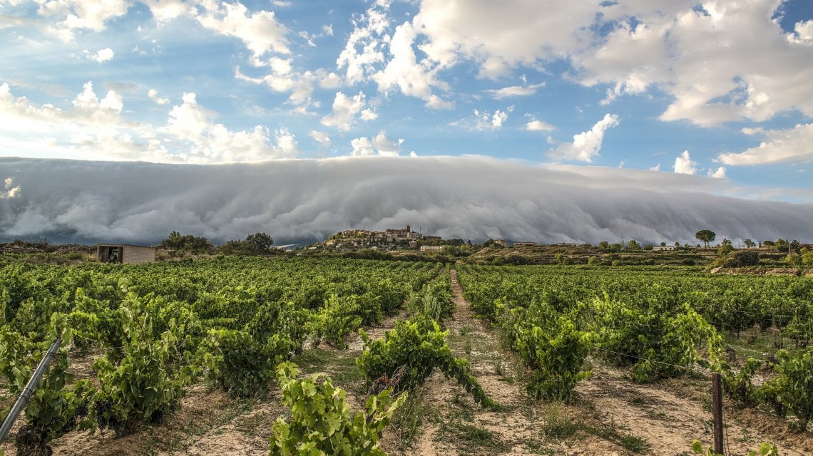 Vigneti nella regione della Riojia Alavesa. Foto: J. Rodr&igrave;guez per Ruta del Vino de Rioja Alavesa