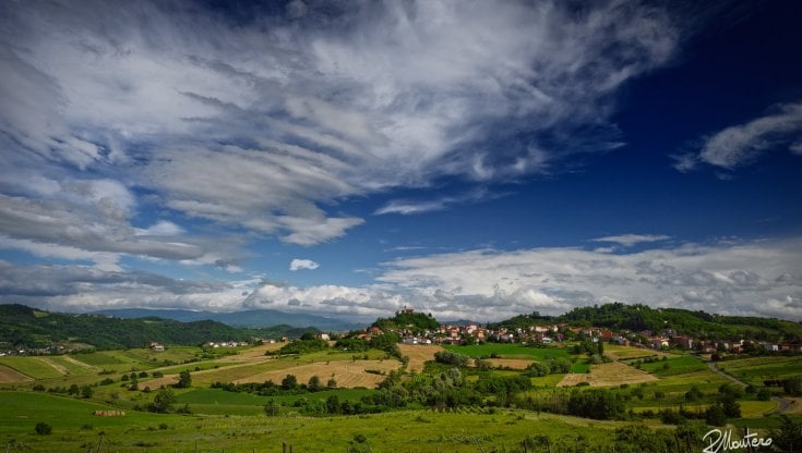 Dai Colli Tortonesi al futuro: sempre più convincente la rinascita del Timorasso