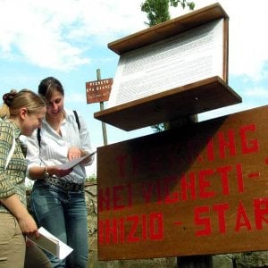 Giovane, green e con le donne al comando: l'enoturismo riprende il volo