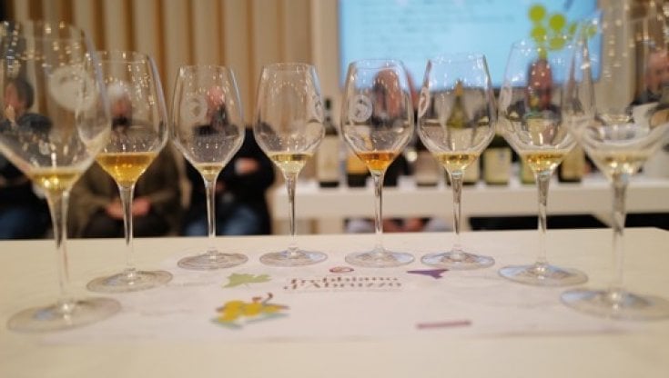 Il Trebbiano d'Abruzzo va in scena: una degustazione lunga 50 anni