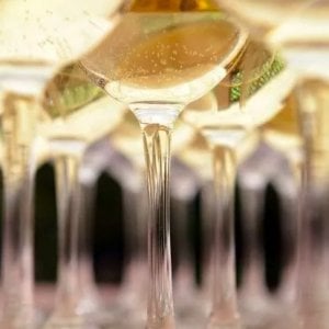 Prosecco Doc, un calice per ogni piatto