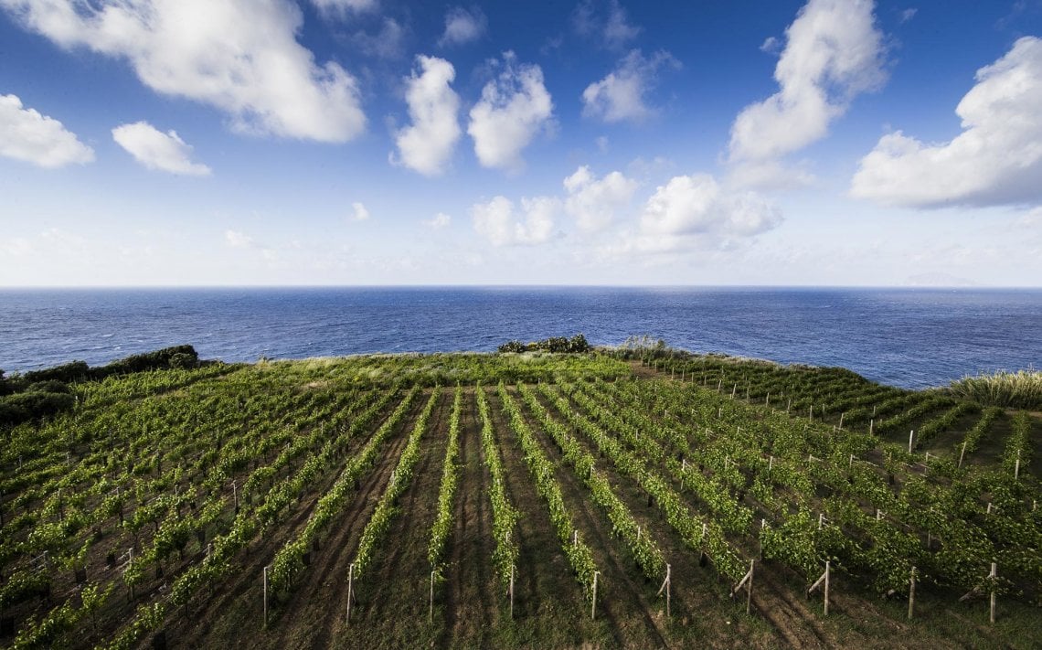 &nbsp;La Tenuta Tasca d'Almerita di Capofaro (foto sito @tascadalmerita)