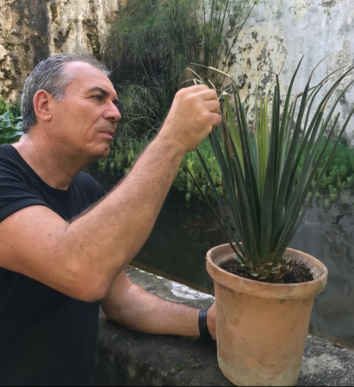 Luciano Mauro
