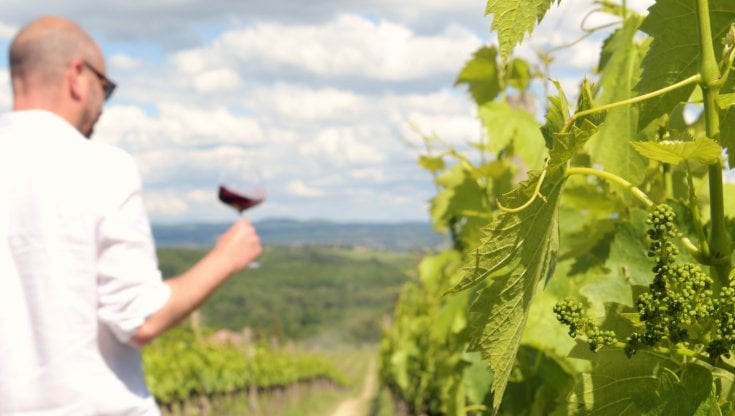 Dai gioielli alla vigna: Giovanni Bulgari e quella cantina fuori dalle rotte