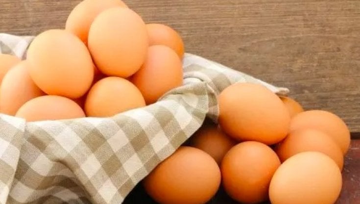 Non demonizzate le uova: un consumo moderato fa bene al cuore