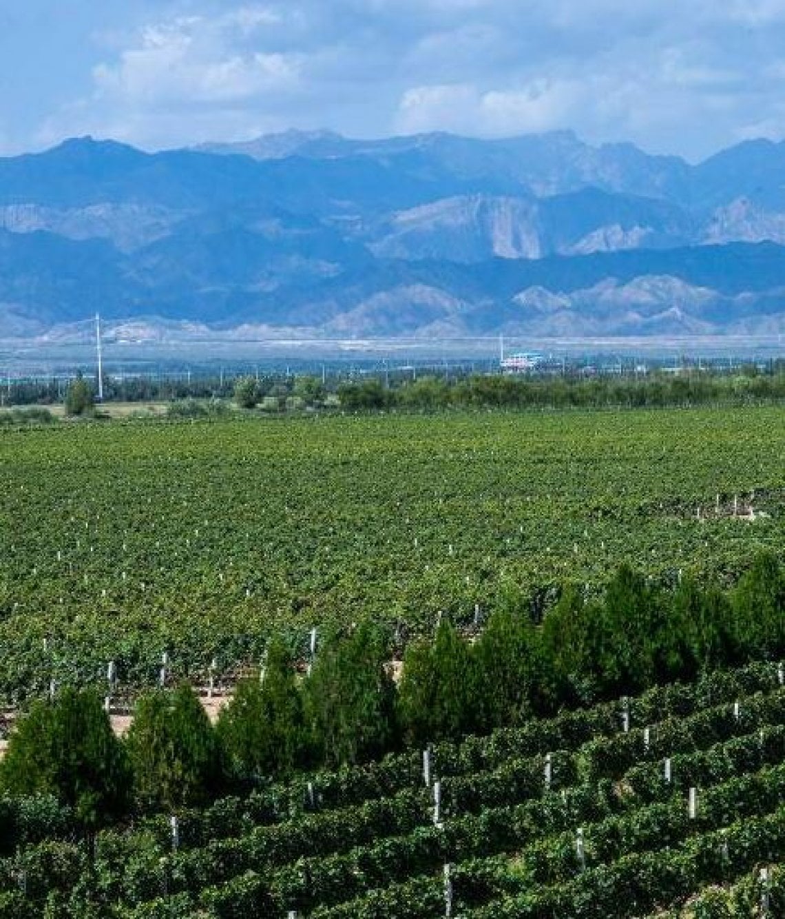 La catena montuosa Helan (&copy;ChandonChina)