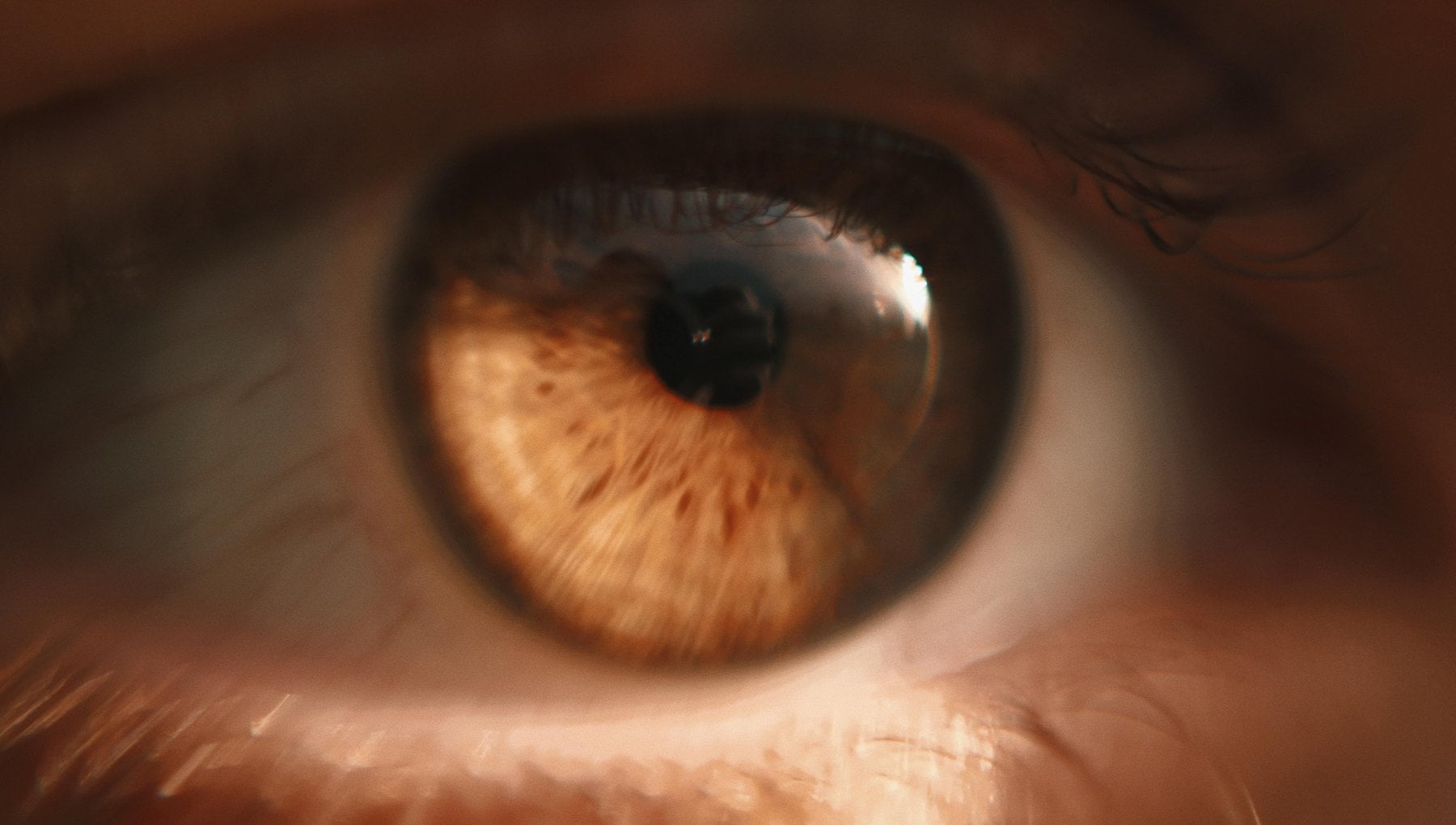Agerelated macular degeneration, new data on the drug that allows to