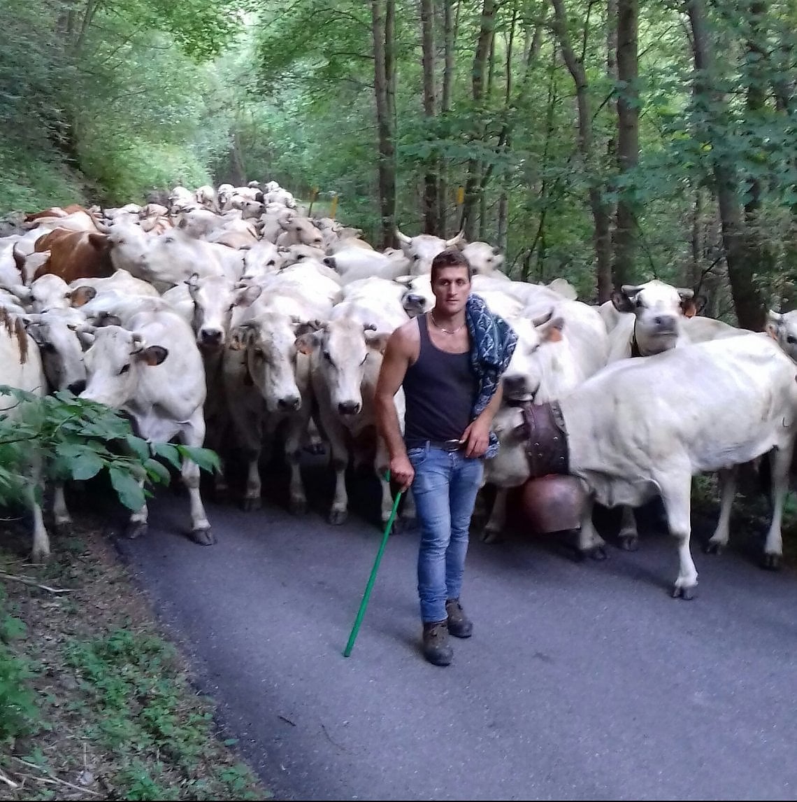L'allevatore piemontese Giovanni Ag&ugrave;