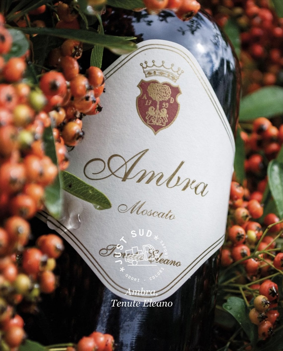 Aglianico del Vulture, un vino con duemila anni di gusto - la Repubblica