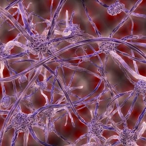 Neuromielite ottica, meno recidive con il nuovo anticorpo monoclonale