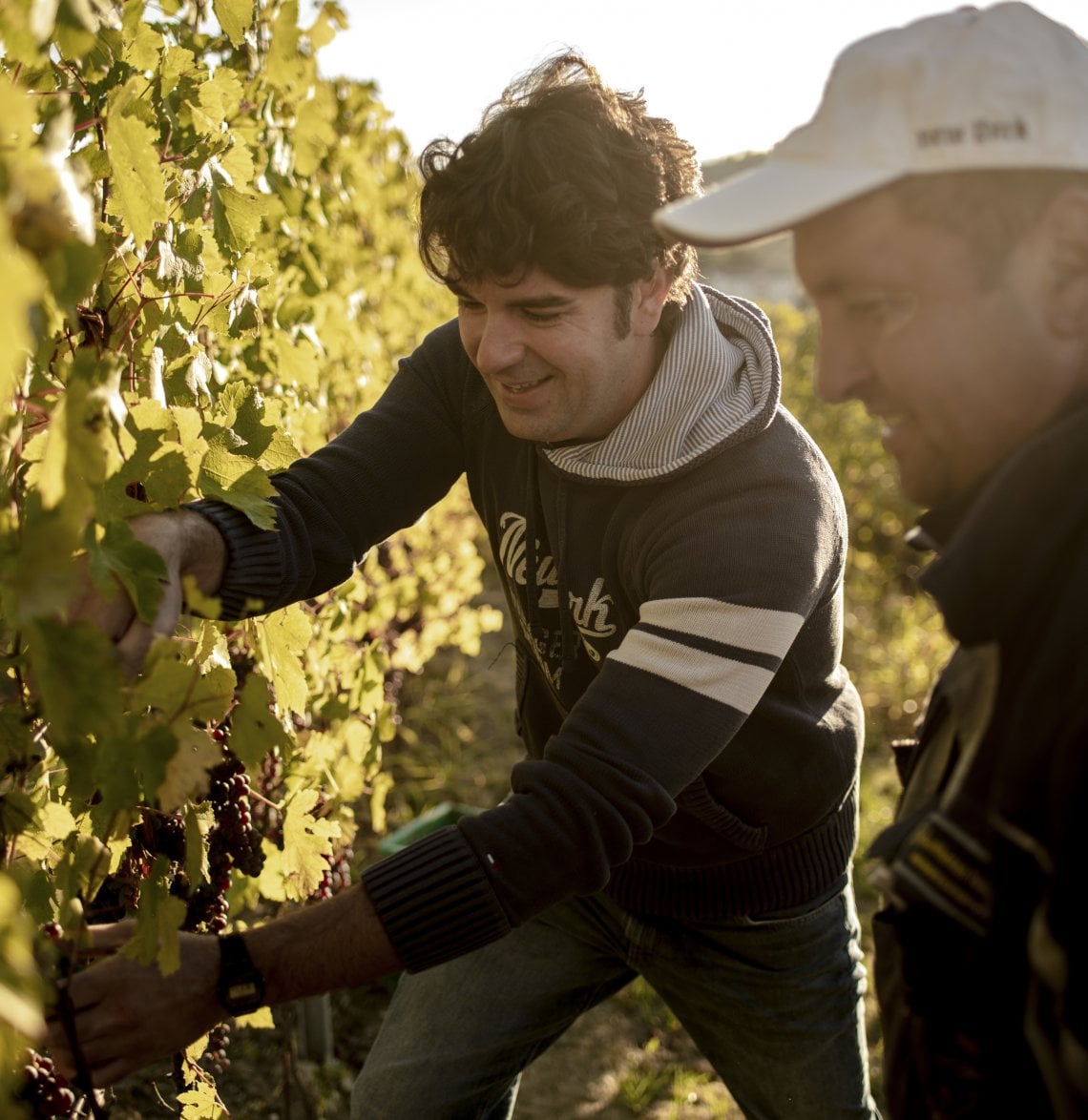 Emanuele Gambino tra i vigneti
