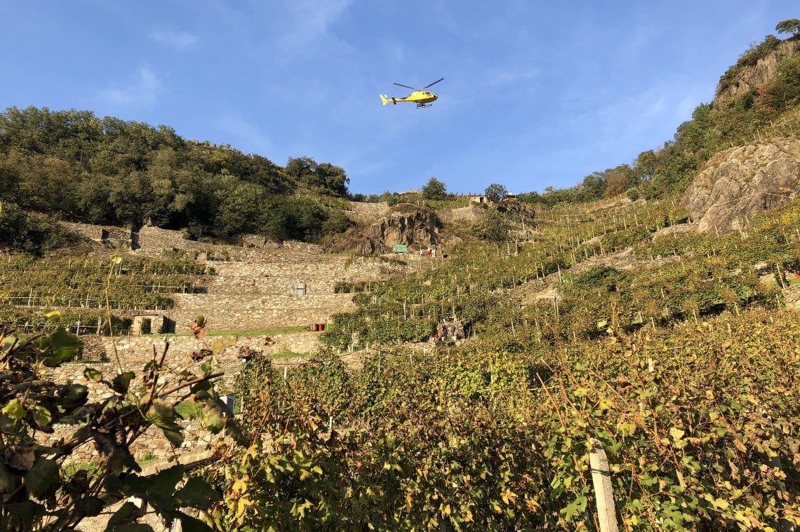 Elicottero in volo sui vigneti