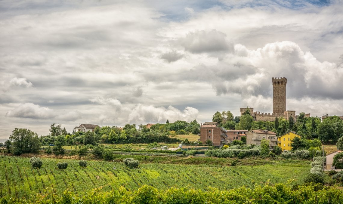 Vigneti nei pressi di Porto Recanati, nel maceratese